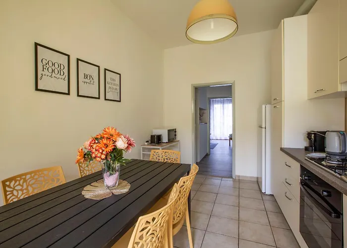 Lake, Spacious And Near Historic Center - Pet Friendly