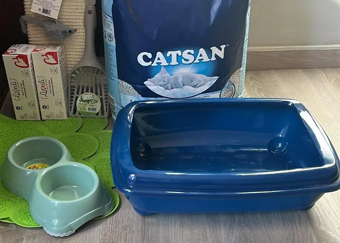 Lake, Spacious And Near Historic Center - Pet Friendly Apartment